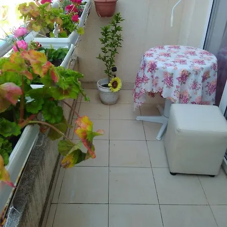 Studio In Olga Pomorie