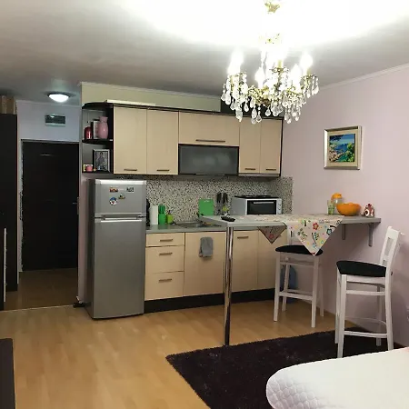 Studio In Olga *
